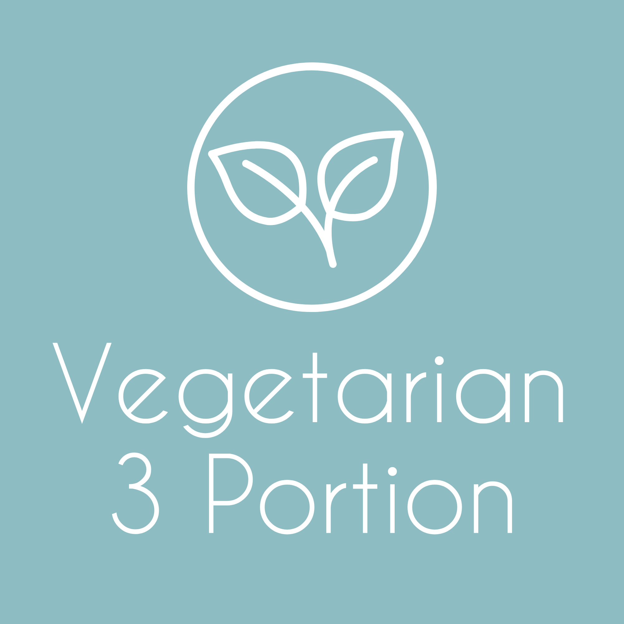 Vegetarian 3 Portion Box