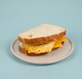 Egg & Cheese Sourdough Panini